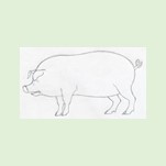 Легенда об оборотне