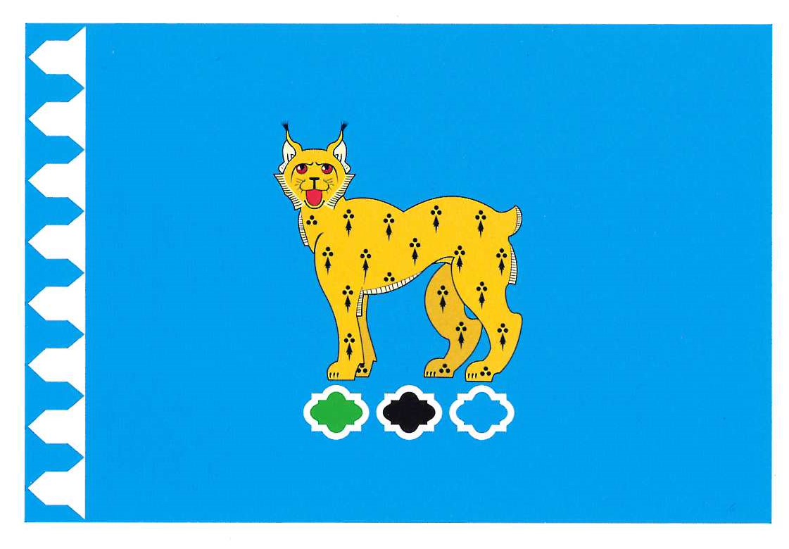 Описание флага