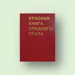 Редкие виды птиц Режевского района